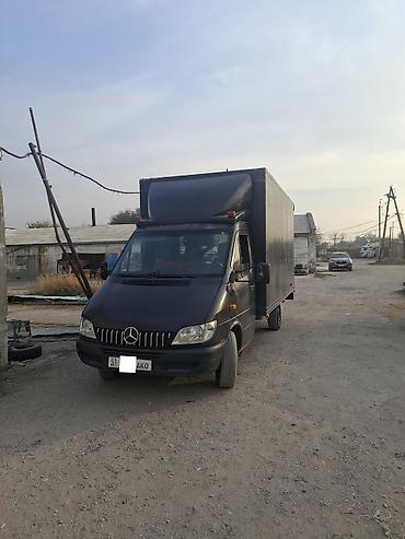 мэри: Грузовой фургон Mercedes-Benz Sprinter с увеличенным закрытым кузовом — 3