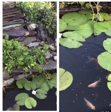 Продажа домов: Дом, 130 м², 5 комнат, Собственник, Евроремонт — 7