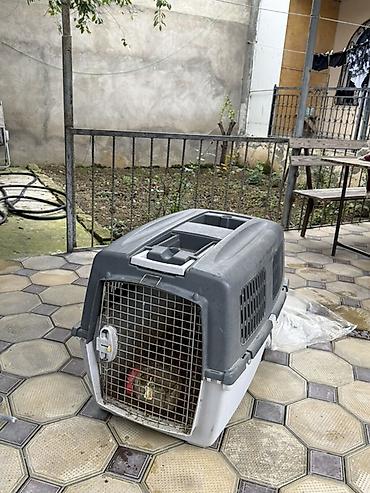 heyvan daşıma çantası: Heyvan daşıma konteyneri (pet carrier) - Material: möhkəm plastik — 1