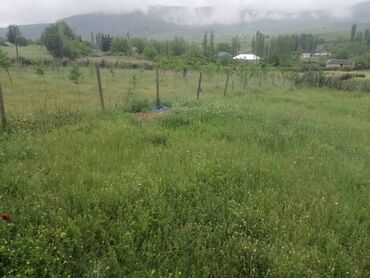 Bağ evlərinin satışı: İsmayıllı, 150 kv. m, 4 otaqlı, Qaz, Su, Telefon — 22