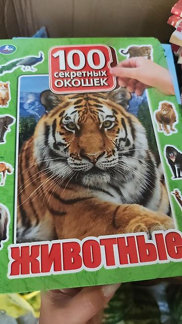 жади: Подборка детских книг и развивающих изданий: 1) Первая энциклопедия — 2