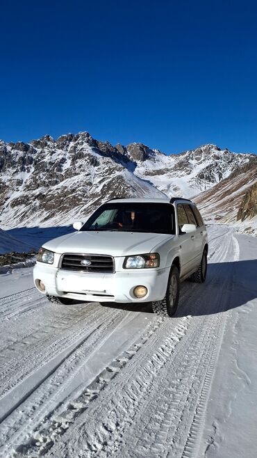 Subaru: Subaru Forester: 2002 г., 2 л, Автомат, Бензиновая, Кроссовер — 5