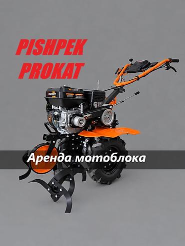АРЕНДА КУЛЬТИВАТОР МОТОБЛОК аренда мотоблока мотоблок в аренду