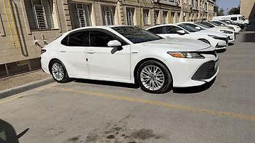 exceed vx: Toyota Camry: 2019 г., 2.5 л, Гибрид, Седан — 1