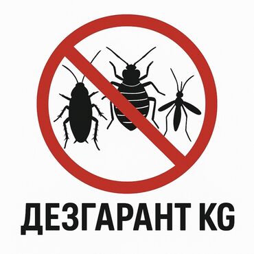 помощь по дому: Дезинфекциялоо, дезинсекциялоо, | Канталалар, Бүргөлөр, Таракандар, | Транспорт, Офистер, Батирлер