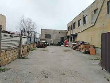 Sifarişlə market vitrinləri: Hal hazırda icarədədir — 9
