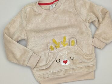 koszulka z mopsem: Sweatshirt, Little kids, 3-4 years, 98-104 cm, condition - Very good