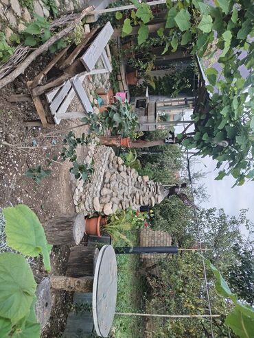 Həyət evləri və villaların satışı: 1 otaqlı, 36 kv. m, Yeni təmirli — 31