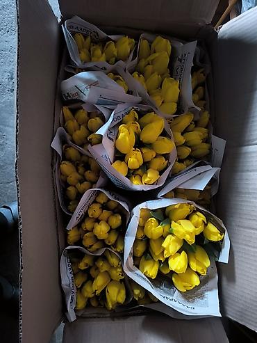 Букеты из живых цветов: Розы и тюльпаны к 8 Марта - Срезанные свежие розы в ассортименте — 13