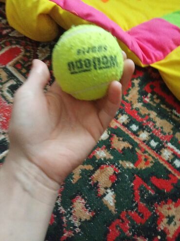 İtlər: Zvonok, 1 ay, Erkek, Ödənişli çatdırılma, Ünvandan götürmə, Pulsuz çatdırılma — 3