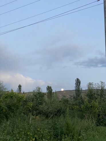 где можно купить карнавальные костюмы для детей: Саламатсыздарбы Квартира керек жаш уйбуло Джал Арча-бешик Ак-орго