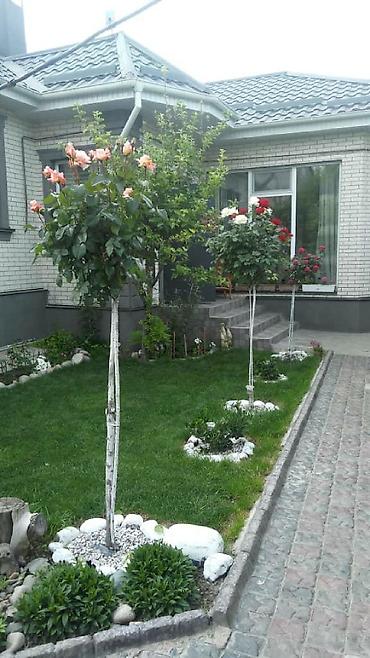 семейный бассейн: 5 комнат, 150 м², 6 соток, Маевка, Собственник — 8