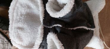 собачка йоркширский терьер: Пальтишко для собачки мелкой породы,х/бразмер м,на кнопочках