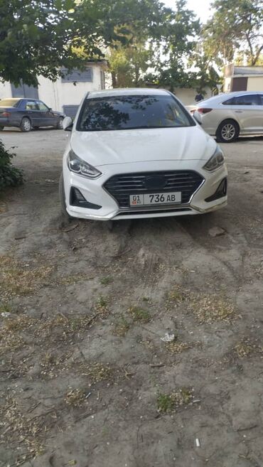 Другие автоуслуги: Услуги договорная 
трезвый водитель по городу 
перекуриватель машины