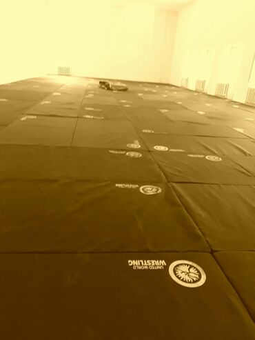 Другие тренажеры: Профессиональные спортивные маты для единоборств Назначение: - борьба — 9