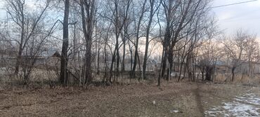 Продажа участков: 8 соток, Для сельского хозяйства, Красная книга — 4