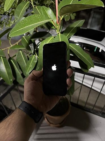 13 pro ekran: IPhone 12 Pro, 128 GB, Pacific Blue, Simsiz şarj, Face ID — 5