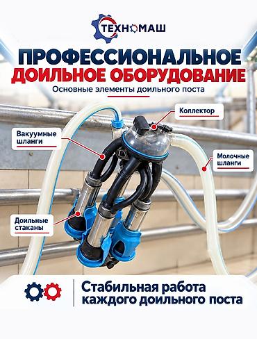 дойка коров аппаратом: Доильный зал Melasty профессиональная система для молочных ферм ПОД — 8