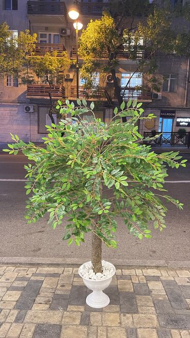 Digər tikinti materialları: Depodan bir basa satis Usda xidmetimizde var Sadece magazamiza — 22