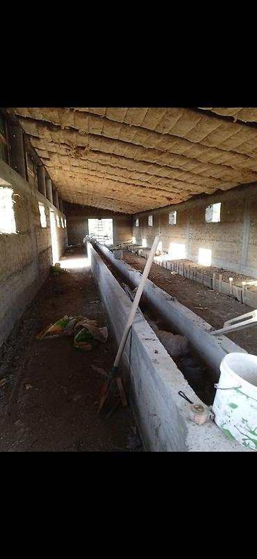 Строительство под ключ: Больше 6 лет опыта — 6