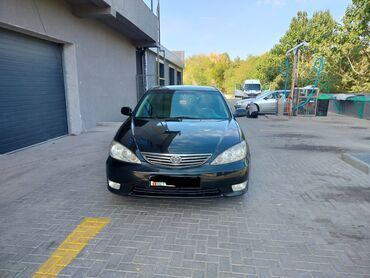 тоуота камри 50: Toyota Camry: 2005 г., 2.4 л, Автомат, Газ, Седан