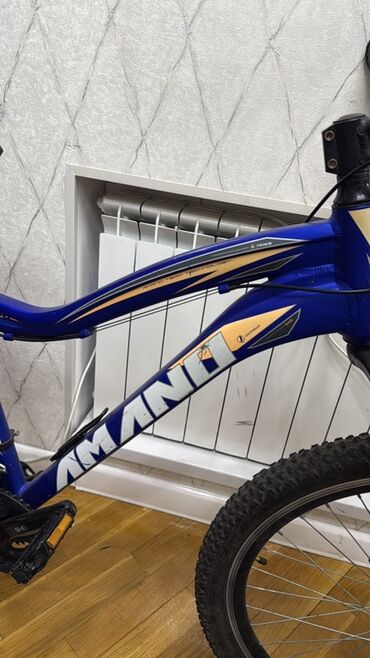 Elektrik velosipedlər: Avanti markalı, mavi rəngdə dağ velosipedi. Kələ-kötür yollar üçün