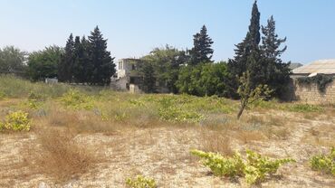 Torpaq sahələrinin satışı: 32 sot, Tikinti, Maklerlər narahat etməsin, Kupça (Çıxarış) — 11