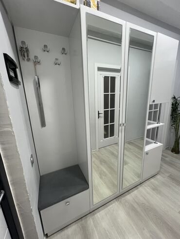 dehliz guzgusu: İşlənmiş, Açılan, 3 qapılı Düz dolab, Dəhliz dolabı, Azərbaycan