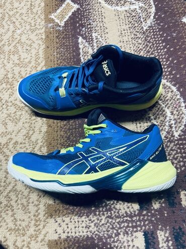 костюмы для аниматоров в аренду: Волейбольные кроссовки Asics Sky Elite FF MT в сине-желтой расцветке