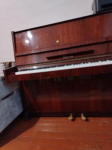 elektron pianolar: Piano, Kuban, Akustik, İşlənmiş, Ünvandan götürmə — 7