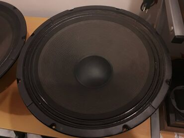 Zvučnici i stereo sistemi: Basevi 15 incha PAR385-120Fi-SC Prečnika 38,5 cm Tekstilno vešanje — 4