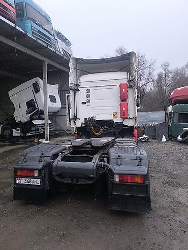 2456018 лето: Тягач, Scania, 2008 г., Без прицепа — 9