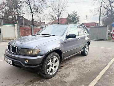 BMW: BMW X5: 2003 г., 3 л, Автомат, Дизель — 6