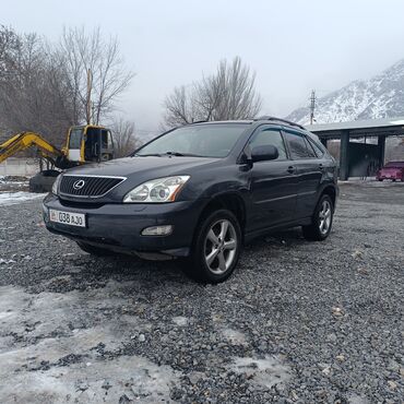Lexus: Lexus RX: 2003 г., Автомат, Бензин, Кроссовер — 8