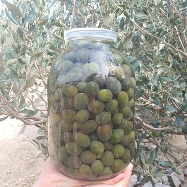 Saturn: Zeytun turşusu(şorabası)