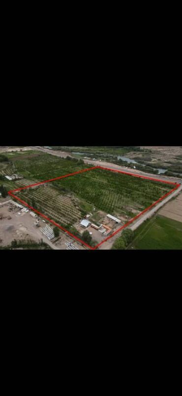 600 соток, Бизнес үчүн, Кызыл китеп, Техпаспорт, Сатып алуу-сатуу келишими