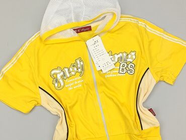 Sweatshirts: Sweatshirt, 5-6 years, 110-116 cm, condition - Very good