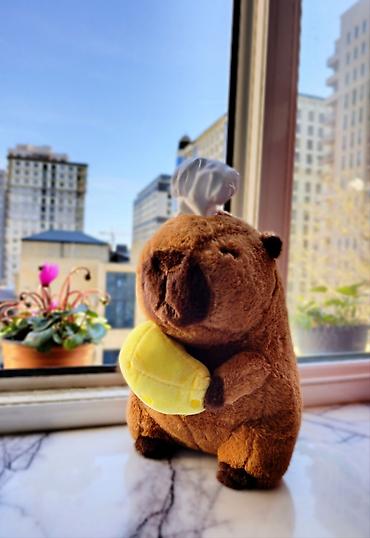 Oyuncaqlar: Oyuncaqlar — 10