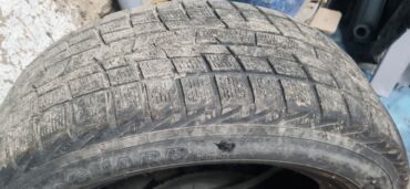 покрышка зимний: Шиналар 215 / 60 / R 16, Кыш, Колдонулган, 1 даана, Жапония, Daewoo