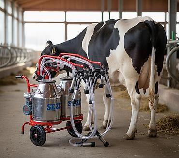 Süd sağan aparatlar: Cüt bidon, Türkiyə, Paslanmaz bidon — 1