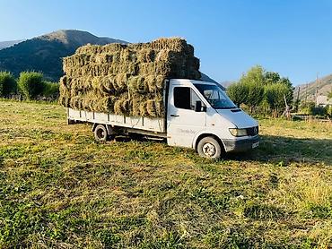 fh 500: Mercedes-Benz Sprinter 408D платформа/борт - Тип: малотоннажный — 4