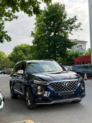 камаз аксессуары: Hyundai Santa Fe: 2018 г., 2.2 л, Автомат, Дизель, Внедорожник