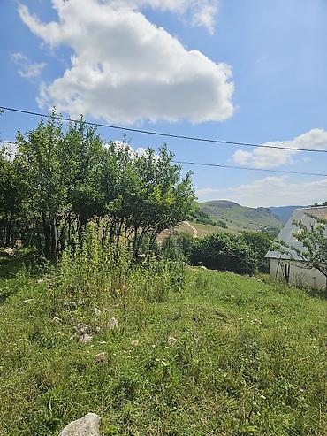 dağ: 25 sot, Tikinti — 2