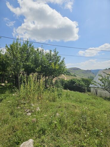 Torpaq sahələrinin satışı: Satış: Dağ mənzərəli torpaq sahəsi - Yaşıllıqla əhatəli, sakit təbiət — 10