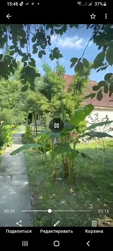 Bağ evlərinin kirayəsi: Katedjdar nabranda — 9