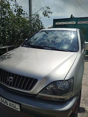 шторка на rx330: Lexus RX: 2000 г., 0.3 л, Автомат, Бензин, Кроссовер — 1