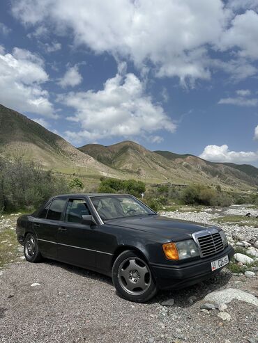 Mercedes-Benz: Mercedes-Benz W124: 1993 г., 2.5 л, Механика, Дизель, Седан