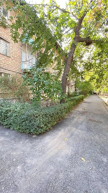 flat osh: 1 комната, 30 м², Карпинка Хрущевка, 1 этаж, Свежий ремонт — 8