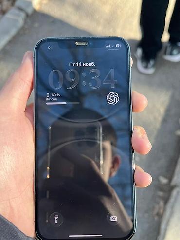 Apple iPhone: IPhone 12 Pro, Графит — 9