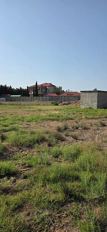 bine atciliqda torpaq: 50 sot, Tikinti, Mülkiyyətçi, Kupça (Çıxarış) — 5